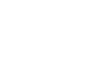 Vector